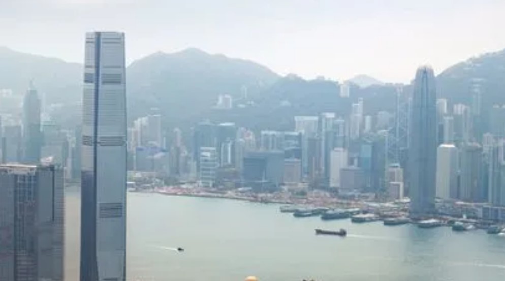 股权和期权有什么区别