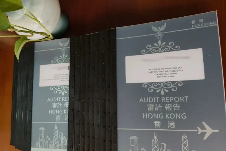 德荣商务为香港公司客户整理税表